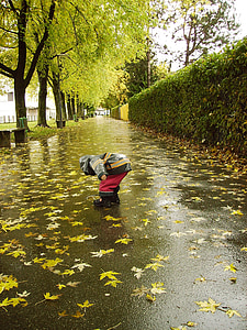 rain, november, autumn, nature, october, leaf, season