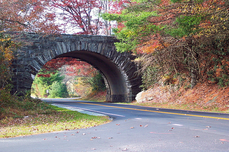 blue ridge 大道, 秋天的树叶, 秋天, 公园, 自然, 北卡罗来纳, 公园