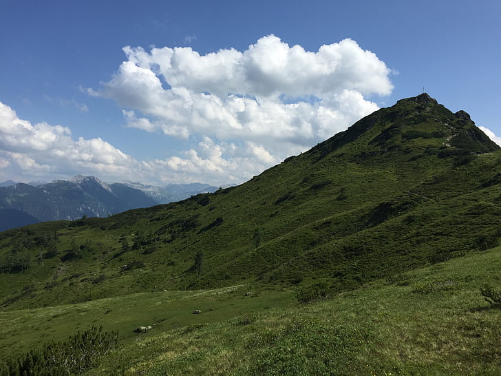 natura, Àustria, muntanya, paisatge, l'estiu, a l'exterior, herba