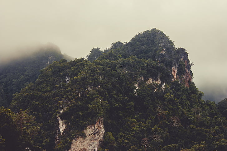 mountain, forest, misty, foggy, trees, peak, hill top