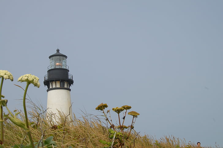 maják, Výstražný maják, budova, věž, Spojené státy americké, Oregon