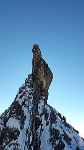 Pinnacle, Urwisko, głowy sygnału, Ortler, hintergrat, alpejska, góry