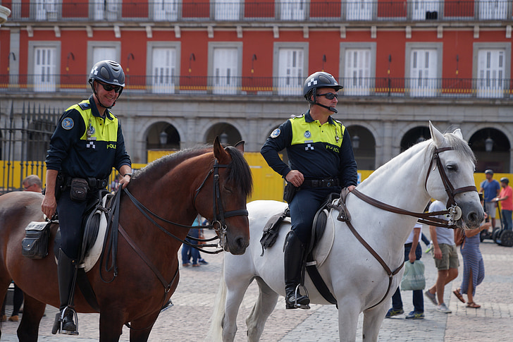 montert politiet, politimann, hest, Madrid, området, Plaza mayor