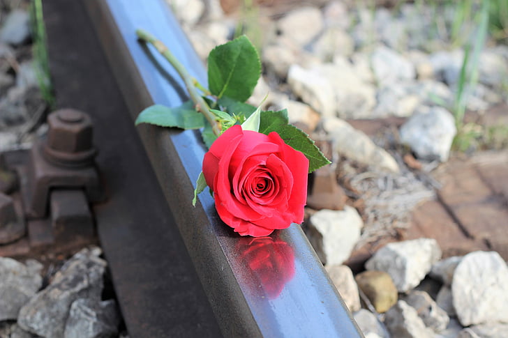 rose rouge, chemin de fer, Stop suicide, tragédie, tristesse, dépression, lourde perte