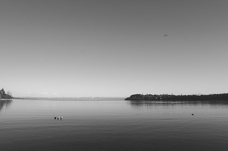 lake constance, lake, quiet, black and white, rest