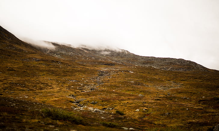 peisaj, Munţii, platou, Highlands, natura, mediu, ceaţă
