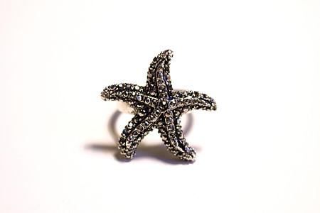estrella de mar, anillo, piedras preciosas, plata, joyería, joyería de la manera, precioso