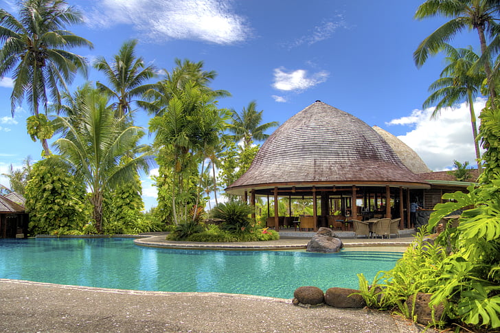 Hotel, luxe, palmeres, paradís, piscina, relaxació, complex