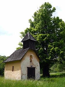 Cappella, albero, erba, Slovacchia, Tribeca, Chiesa