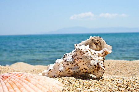 spiaggia, Seashell, Kavala, mare, sabbia, Orizzonte sull'acqua, tempo libero