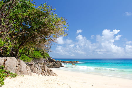 Seišelu salas, pludmale, skaistas pludmales, Indijas okeāns, ceļojumi, palmas, jūra