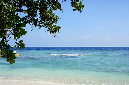 Мальдивские острова, Остров, Голубой, воды, Курорт, мне?, пляж