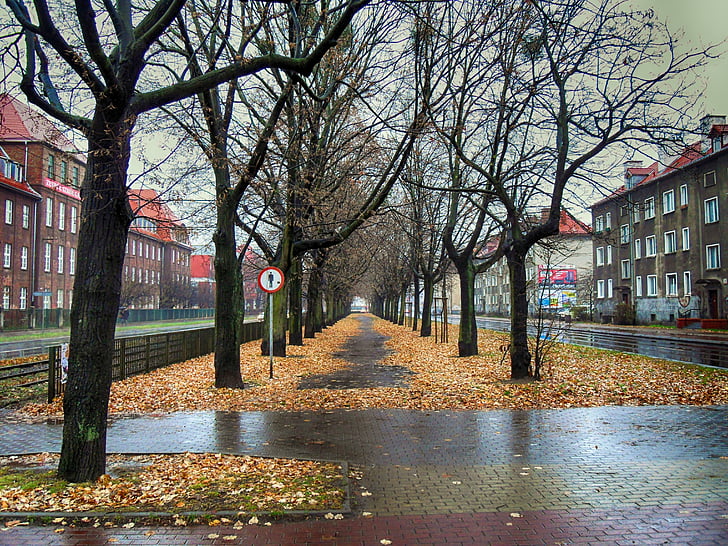 gdańsk, โปแลนด์, เมือง, เปียก, ชื้น, สภาพอากาศ, ฝน
