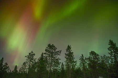 Severní polární záře, barevné, barevné, Les, Příroda, Severní polární záře, obloha