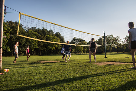 sports, volleyball, sportive, sunny, field, game, play