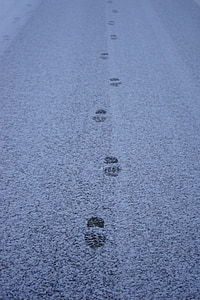 ίχνη, χιόνι, δρόμος, μακριά, entlange τον τρόπο, ίχνη, Επανεκτύπωση