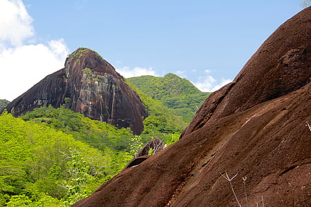 Rock, paysage, Seychelles, paysage rocheux, nature, arbre, montagnes