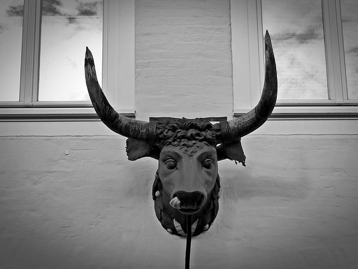 bull, bull head, bust, deco, metal, decoration, art