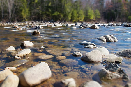 자연, 강, 바위, 돌