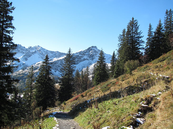 fellhorn, nieve, abetos, panorama, naturaleza, Allgäu, Alpine