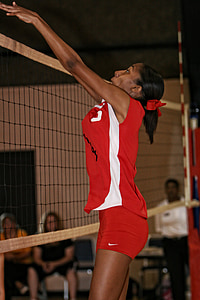 volleyball, action, girls, net, sport, play, competition