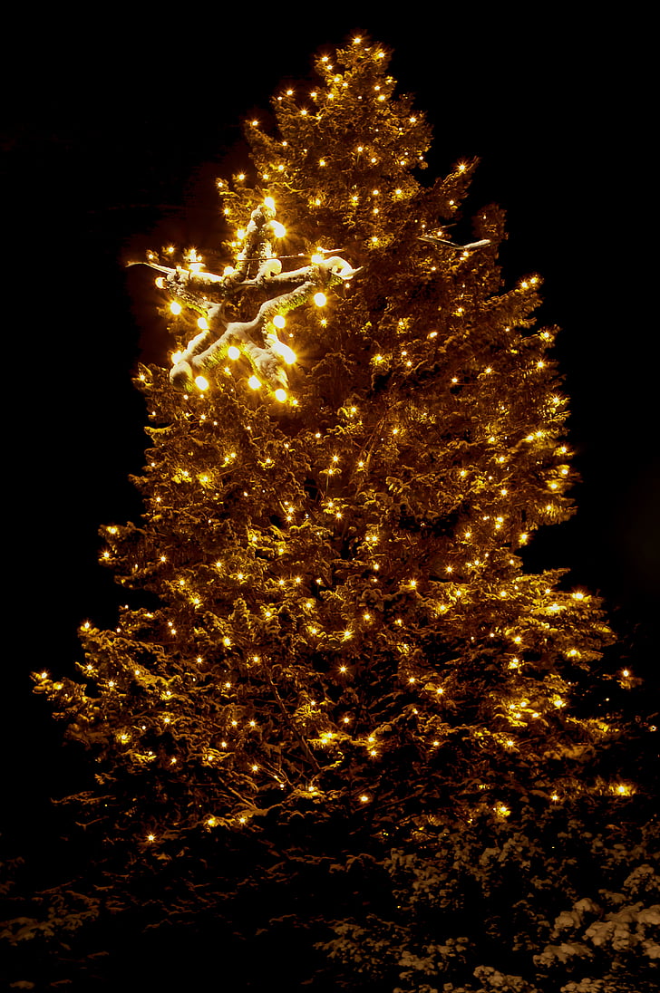 Karácsony, fények, karácsonyfa, karácsonyi álom, hó, üveg ball, világítás