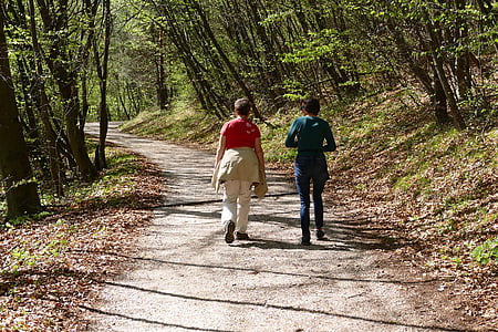 wandelen, bos, natuur, weg, Promenade, trekkende pad