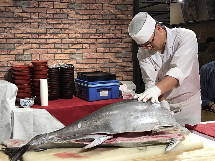 Japonia, ton, sashimi