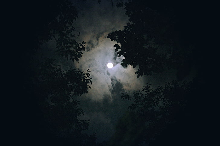 měsíc, mrak, noční zobrazení, noční, obloha, ve večerních hodinách, noční obloha