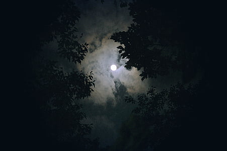 月亮, 云计算, 夜景, 晚上, 天空, 在晚上, 夜晚的天空