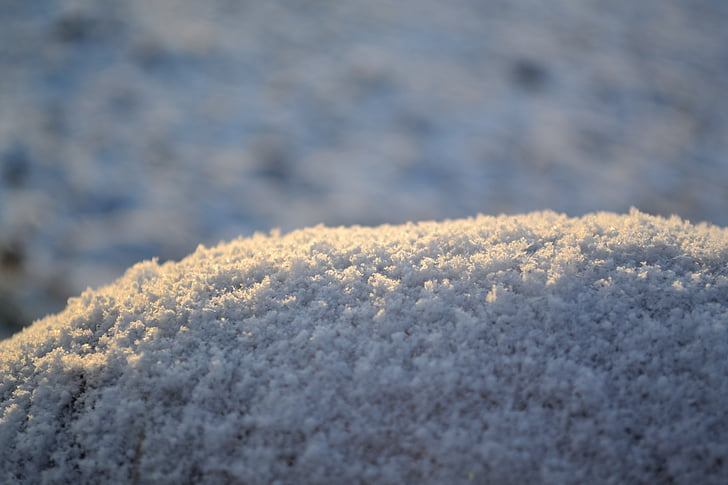 hó, makró, téli, fagy, textúra, hideg, fehér