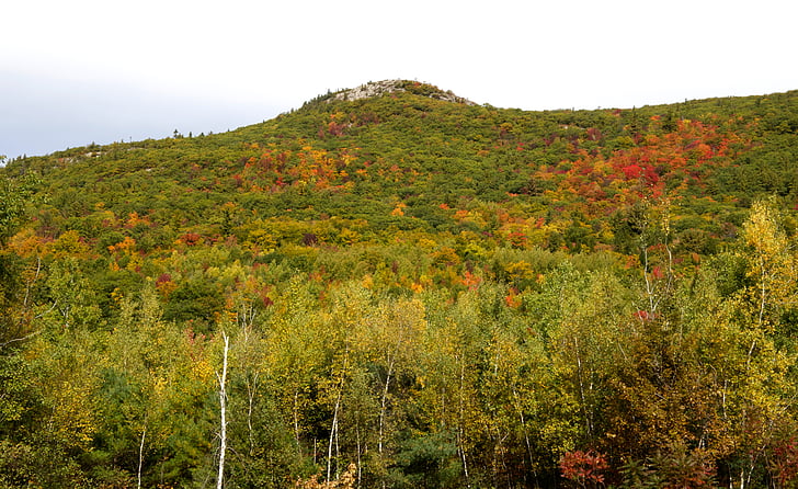 Syksy, syksyllä, lehtien, Metsä, Hill, lehdet, vuoret