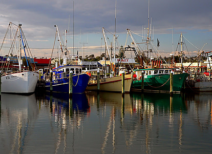Barcos de pesca, Porto, mar, reflexão, naves, comercial, pegar