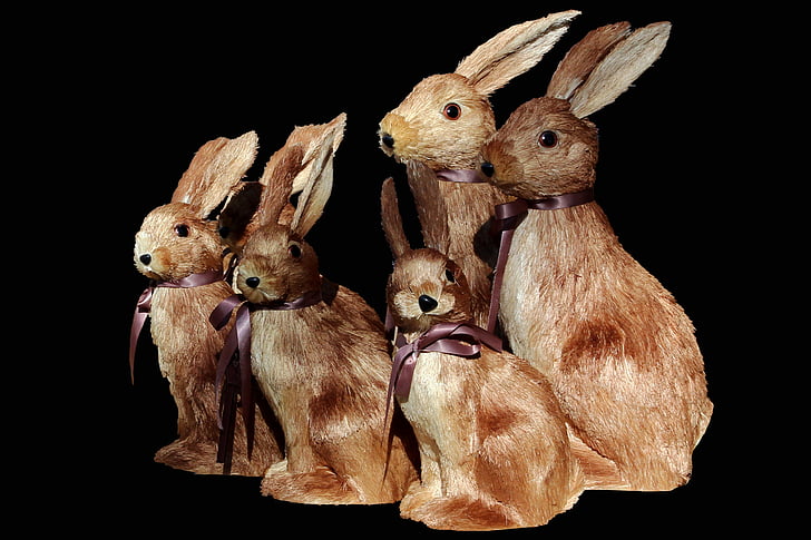easter, easter bunny, chocolate bunny, figure, graphic, animal