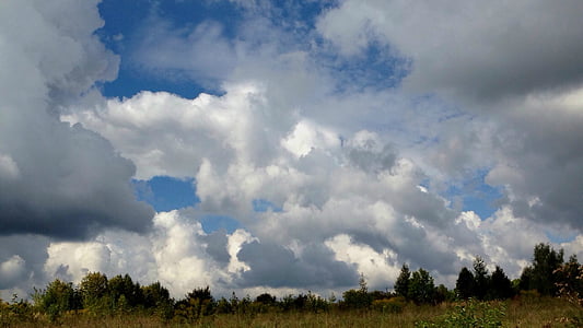 céu, nuvens, cobertura de nuvens, glomérulo, natureza, a altura do, paisagens