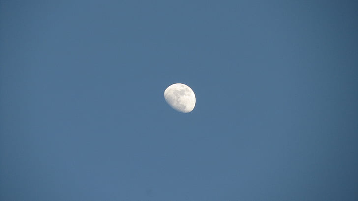 bulan, langit biru, Siang hari