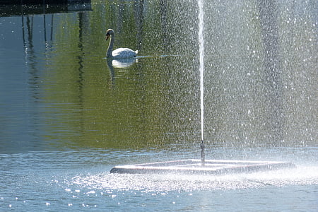 вода игри, фонтан, лебед, Инжектирайте, вода, природата, езеро