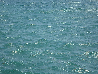 Mar, l'aigua, fons, Gopher, blau