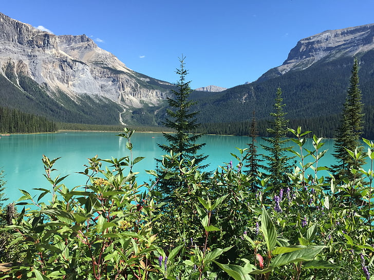 Emerald lake, Kanāda, ceļojumi, ūdens, ezers, smaragds, YOHO