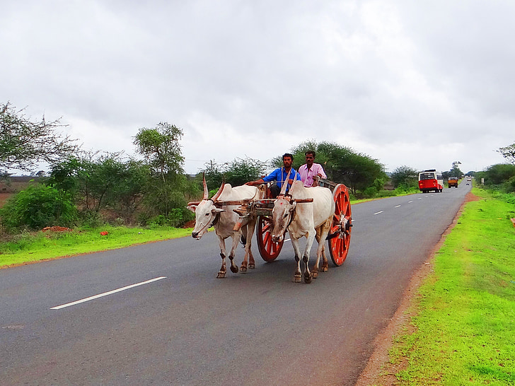Bullock handlevogn, Karnataka, India, gadag, hubli, motorvei, landlig