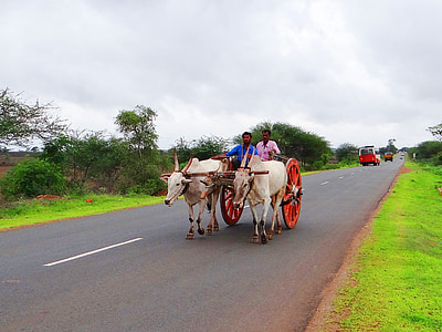 carro Bullock, Karnataka, l'Índia, gadag, hubli, l'autopista, rural