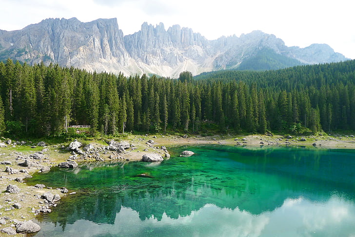 bergsee, dolomites, karersee, south tyrol, nature, mountain, forest
