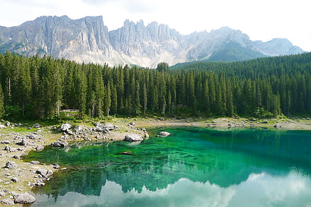 Bergsee, Dolomiti, Lago di Carezza, Alto Adige, natura, montagna, foresta