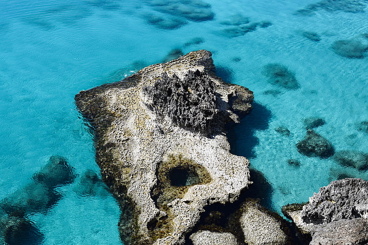 arrecife, costa rocosa, mar, naturaleza, agua, transparente, azul