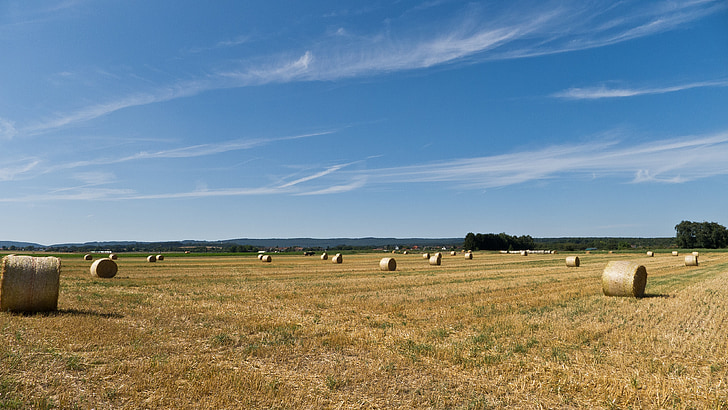 agriculture, straw, round bales, fields, landscape, summer