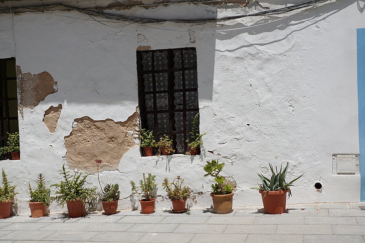 haza, fehér, Eivissa, homlokzat, növény