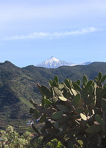 Tenerife, pico de teide, Teide, vulcão, Ilhas Canárias, paisagem, natureza