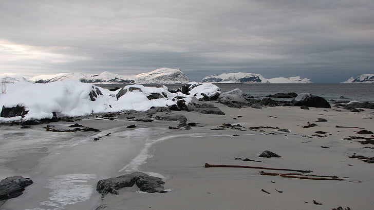 pes samtale anda, Flø, ULS stein cove, Norge, natur, sjøen, isen