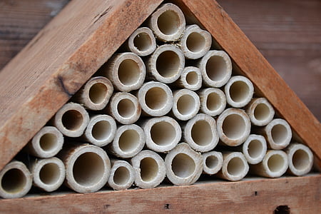 rovar ház, méh, levél, Vágó, ház, bambusz, rovarok