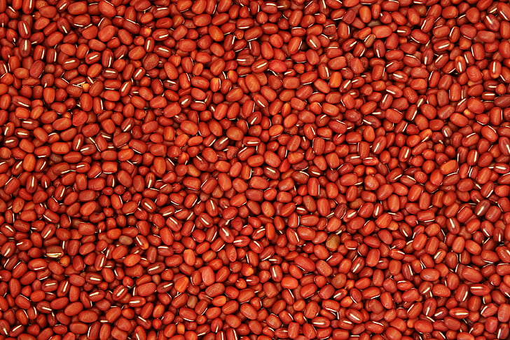 red bean, pattern, texture, nature, grain, farming, crop